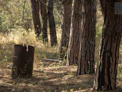 Usciamo finalmente dall'edificio e tra gli alberi individuiamo un barile incendiato, con all�interno numerose bottiglie di alcolici